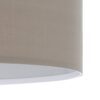 31572_DETAIL_0001 | Eglo Romania Pendul PASTERI E27 IP20 31572