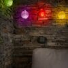 47339_AMBIENT_0001 | Eglo Romania Lampă solară LED 10X0.06W 47339