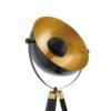 49618_DETAIL_0001 | Eglo Romania Lampadar COVALEDA E27 IP20 49618
