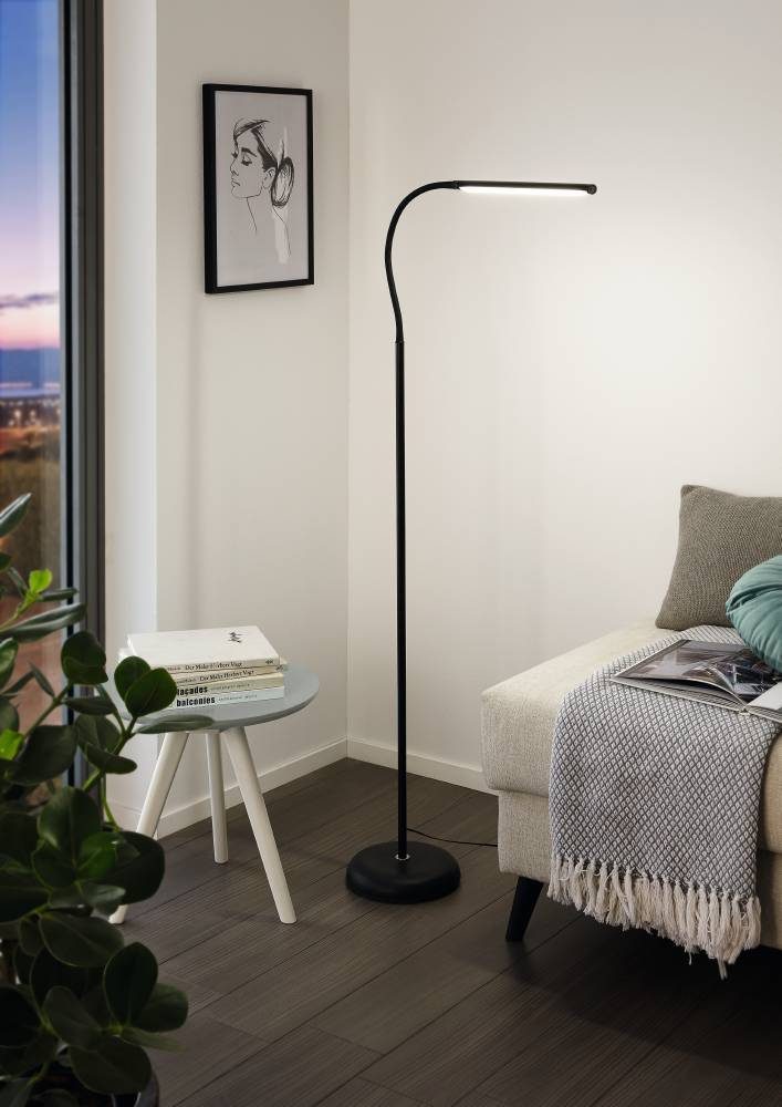 96439_AMBIENT_0001 | Eglo Romania Lampadar LAROA LED 4.2W IP20 96439