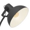 43166_DETAIL_0001 | Eglo Romania Lampadar LUBENHAM E27 IP20 43166