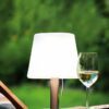48749_AMBIENT_0001 | Eglo Romania Lampă solară LED 10X0.2W 48749