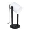 43428_VIEW_0001 | Eglo Romania Lampadar HORNWOOD 1 E27 IP20 43429