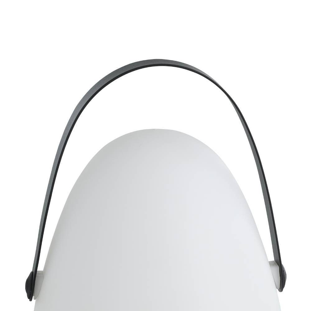 48841_DETAIL_0001 | Eglo Romania Veioză COLLIRADOS LED 2.5W 48841