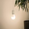 12253_FUNCTION_0001-JPG 1000px | Eglo Romania Bec LED E27 9W 2700K-6500K 12253