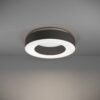 39993_FUNCTION_0001 | Eglo Romania Plafonieră GUAMARE LED 34W IP20 39993
