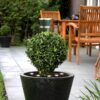 Proiector exterior EGLO SPINETOLI 2 900117 | Eglo Romania Ghirlandă SPINETOLI 2 LED 6X0.4W IP65 900117