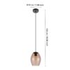 Pendul EGLO ESTANYS 1 390159