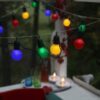 900212_AMBIENT_0001 | Eglo Romania Ghirlandă FROSOLONE LED 20X0.064W IP44 900212