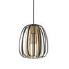 99665_DETAIL_0001 | Eglo Romania Pendul ENCINITOS E27 IP20 99665