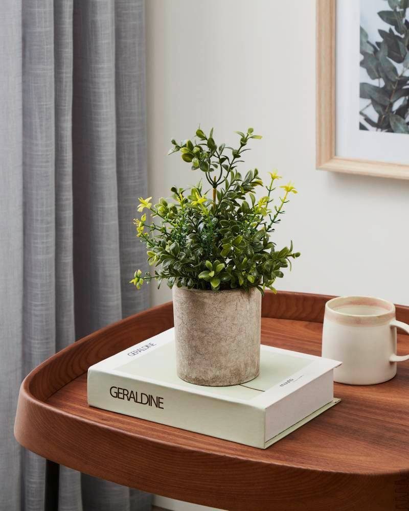 Plantă artificială EGLO CHITOSE 428025 | Eglo Romania Plantă artificială CHITOSE Ø150mm 428025