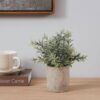 Plantă artificială EGLO CHITOSE 428026 | Eglo Romania Plantă artificială CHITOSE Ø160mm 428026