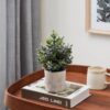 Plantă artificială EGLO CHITOSE 428027 | Eglo Romania Plantă artificială CHITOSE Ø160mm 428027
