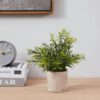 Plantă artificială EGLO CHITOSE 428029 | Eglo Romania Plantă artificială CHITOSE Ø200mm 428029