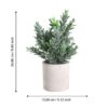 Plantă artificială EGLO CHITOSE 428027 | Eglo Romania Plantă artificială CHITOSE Ø160mm 428027