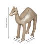 427066_DIMENSION_0001 | Eglo Romania Obiect decorativ NOLALU 427066