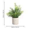 428029_DIMENSION_0001 | Eglo Romania Plantă artificială CHITOSE Ø200mm 428029