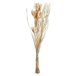 Floare uscată SENNETERRE 428051