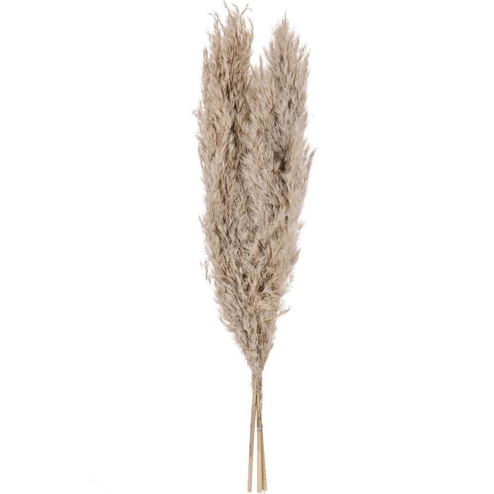 Plantă artificială EGLO GUIPOS 428083 | Eglo Romania Floare uscată GUIPOS 428083