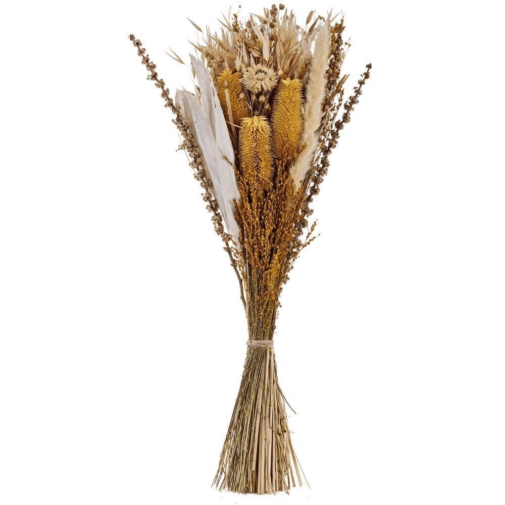 Plantă artificială EGLO CARAQUET 428088 | Eglo Romania Floare uscată CARAQUET 428088