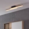 Plafonieră EGLO PALMITAL 900844 | Eglo Romania Aplică/Plafonieră PALMITAL LED 2X11W IP44 900844
