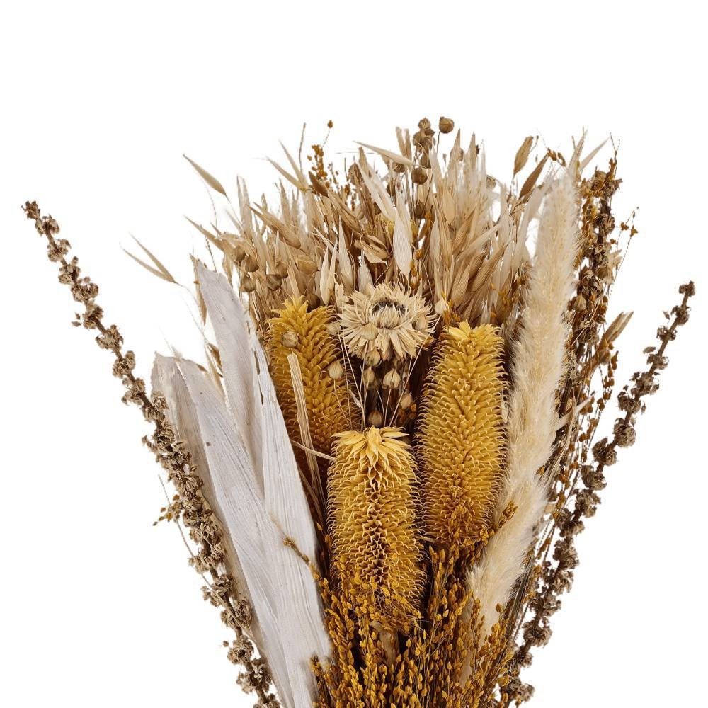 Plantă artificială EGLO CARAQUET 428088 | Eglo Romania Floare uscată CARAQUET 428088
