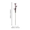 Plantă artificială EGLO MOLAVE 428115 | Eglo Romania Plantă artificială MOLAVE Ø200mm 428115