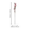 Plantă artificială EGLO MOLAVE 428118 | Eglo Romania Plantă artificială MOLAVE Ø200mm 428118