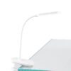 75595_VIEW_0002 | Eglo Romania Lampă cu clemă RAIZAL LED 1.7W 75595