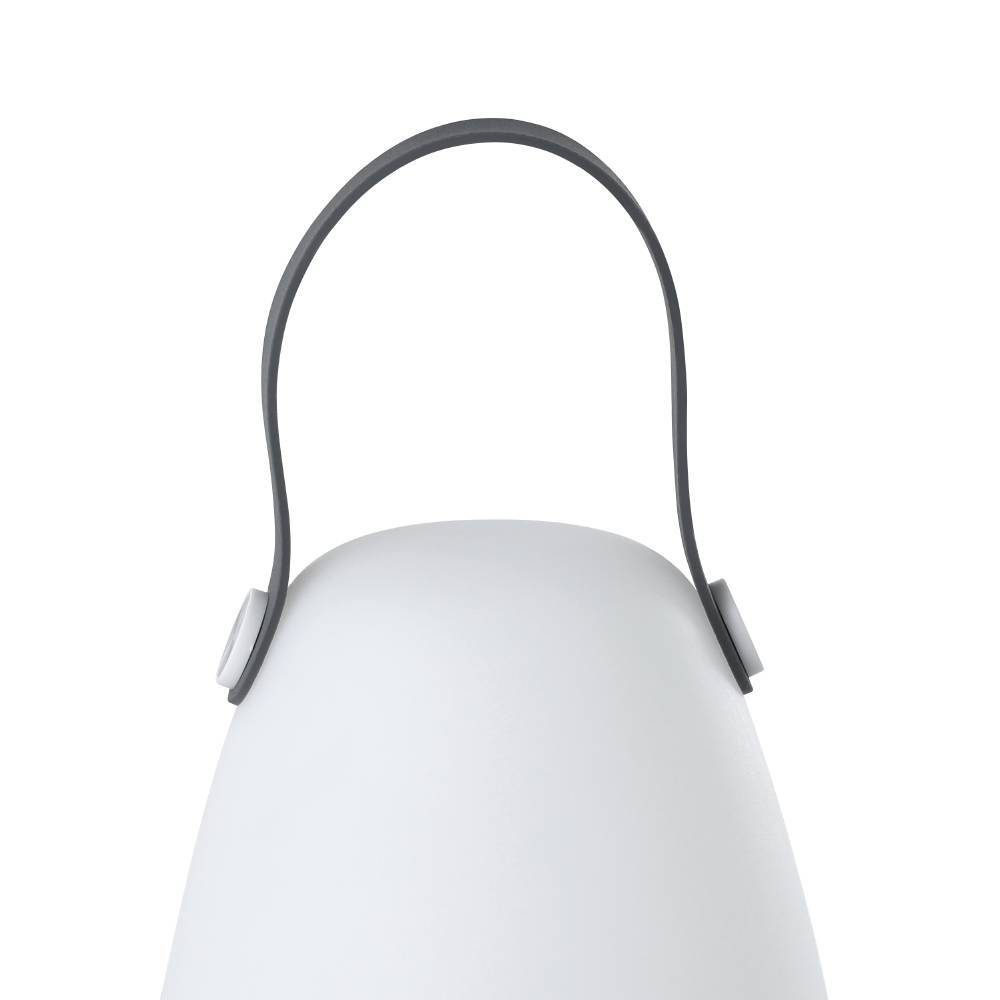 48856_DETAIL_0001 | Eglo Romania Lampă solară LED 2X0.2W 48856