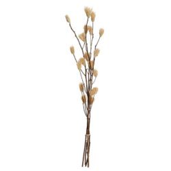 Floare uscată SENNETERRE 428169