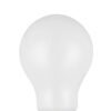 110293_DETAIL_0001 | Eglo Romania Bec LED E27 A60 9W 2700K 110293