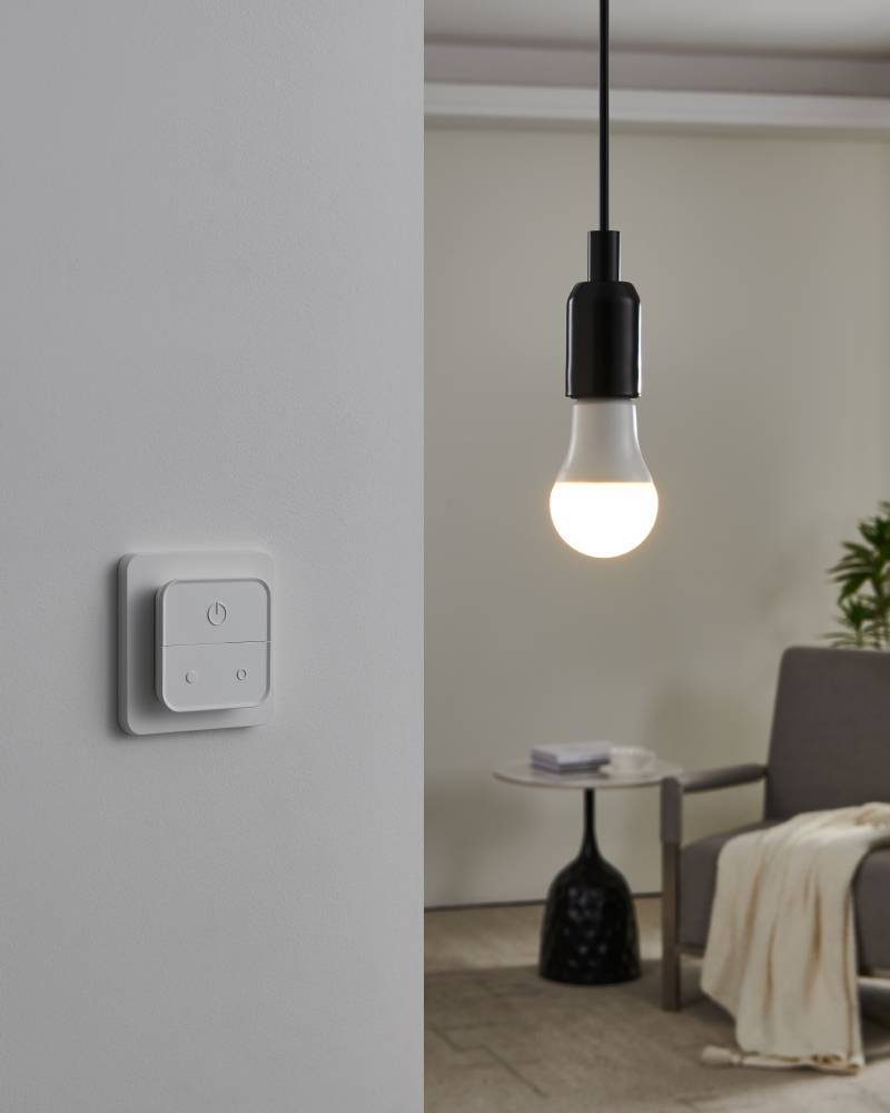 110314_AMBIENT_0001 | Eglo Romania Set 2 becuri LED E27 A60 2X9W 2700K-6500K 110314