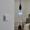 110314_FUNCTION_0002 | Eglo Romania Set 2 becuri LED E27 A60 2X9W 2700K-6500K 110314