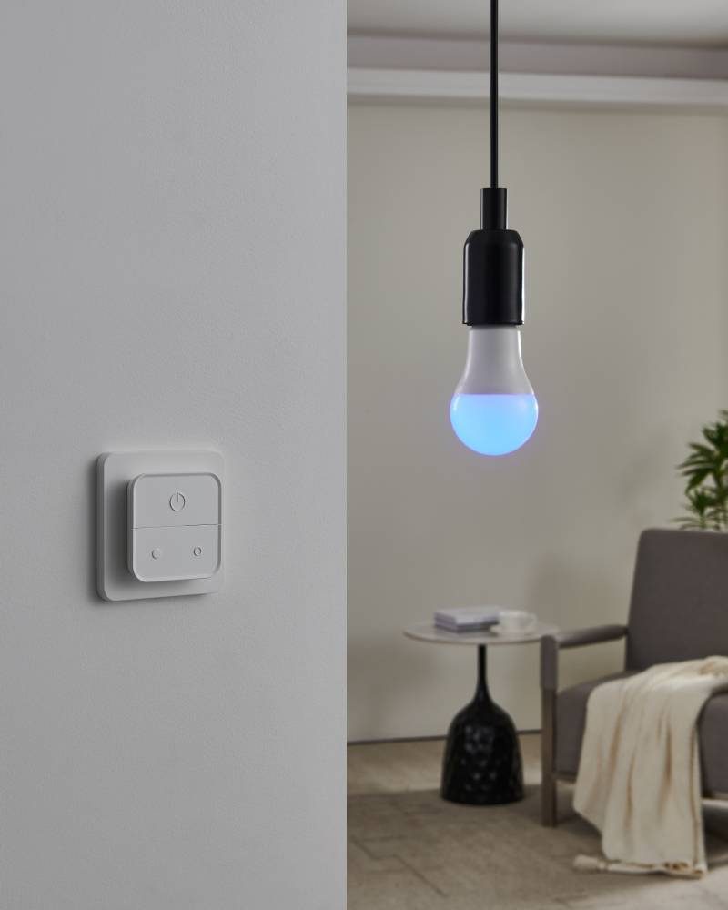 110314_FUNCTION_0002 | Eglo Romania Set 2 becuri LED E27 A60 2X9W 2700K-6500K 110314