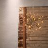 411431_AMBIENT_0001 | Eglo Romania Decorațiune FIREWORK LED 48X0.064W IP44 411431