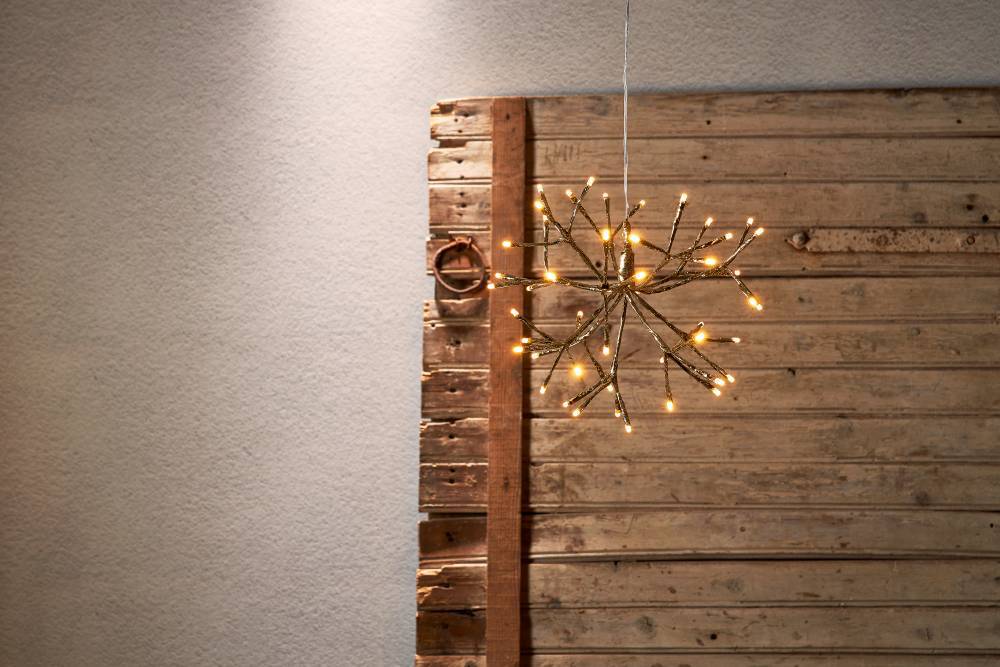 411431_AMBIENT_0001 | Eglo Romania Decorațiune FIREWORK LED 48X0.064W IP44 411431