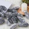 428284_AMBIENT_0001 | Eglo Romania Decorațiune conuri de pin TIGBAO Ø100mm 428284