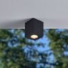 901029_AMBIENT_0001 | Eglo Romania Plafonieră TORRECOLA GU10 5W IP44 901029