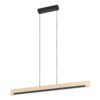 901737_VIEW_0001 | Eglo Romania Lustră PARATEBUENO 1 LED 8X4.2W IP20 390401