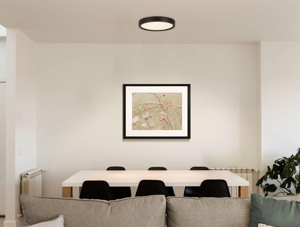 74166_AMBIENT_0001 | Eglo Romania Plafonieră IDUN-E LED 17W IP20 74166