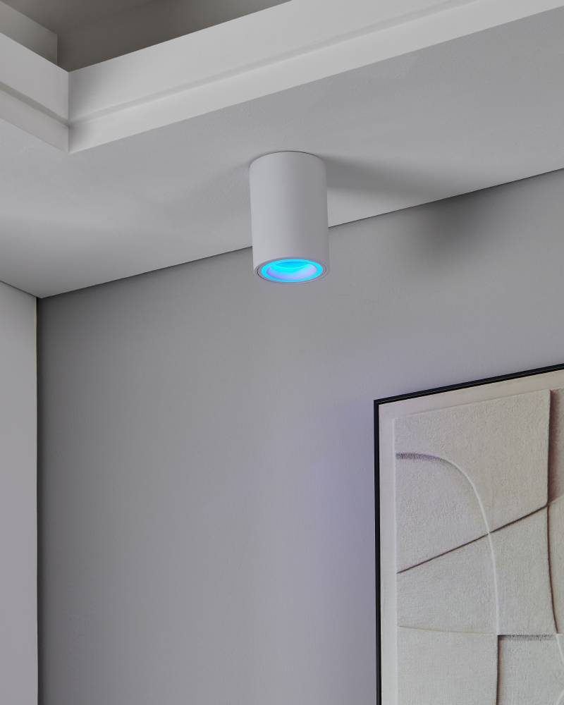 901169_FUNCTION_0002 | Eglo Romania Spot CAROSSO-Z LED GU10 4.9W IP20 901169