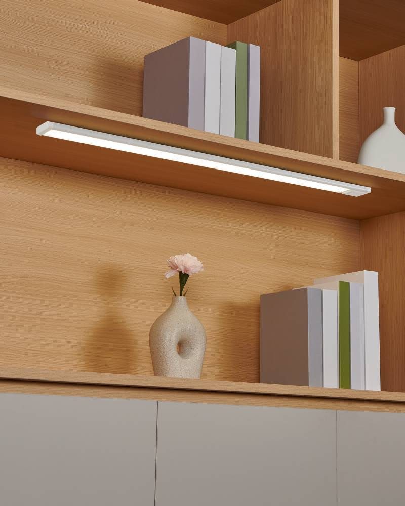 901994_AMBIENT_0003 | Eglo Romania Lampă de dulap REPILADO 2 LED 15W IP20 901994
