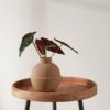 421403_AMBIENT_0001 | Eglo Romania Vază ceramică LYAGLAN 421403