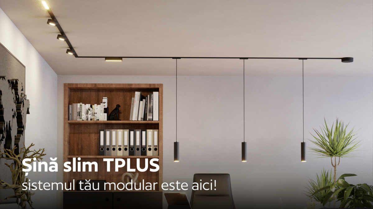 Ambient picture sistem sina slim TPLUS