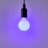 110356_FUNCTION_0003-JPG 1000px | Eglo Romania Bec LED E27 ST64 7.5W 3000K 110356