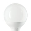110397_DETAIL_0001 | Eglo Romania Bec LED E27 G95 14W 2700K-6500K 110397