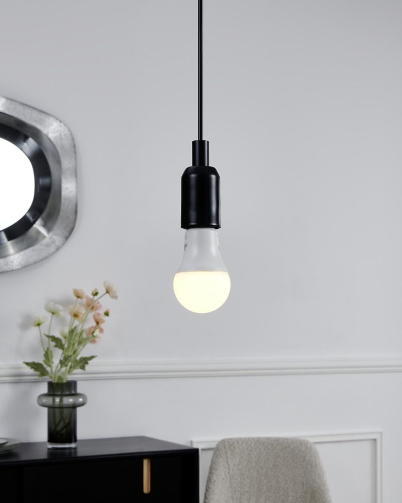 110399_AMBIENT_0001 | Eglo Romania Set 2 becuri LED E27 A60 11W + telecomandă 110399