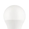 110418_DETAIL_0001 | Eglo Romania Set 2 becuri LED E27 A60 11W + telecomandă 110418