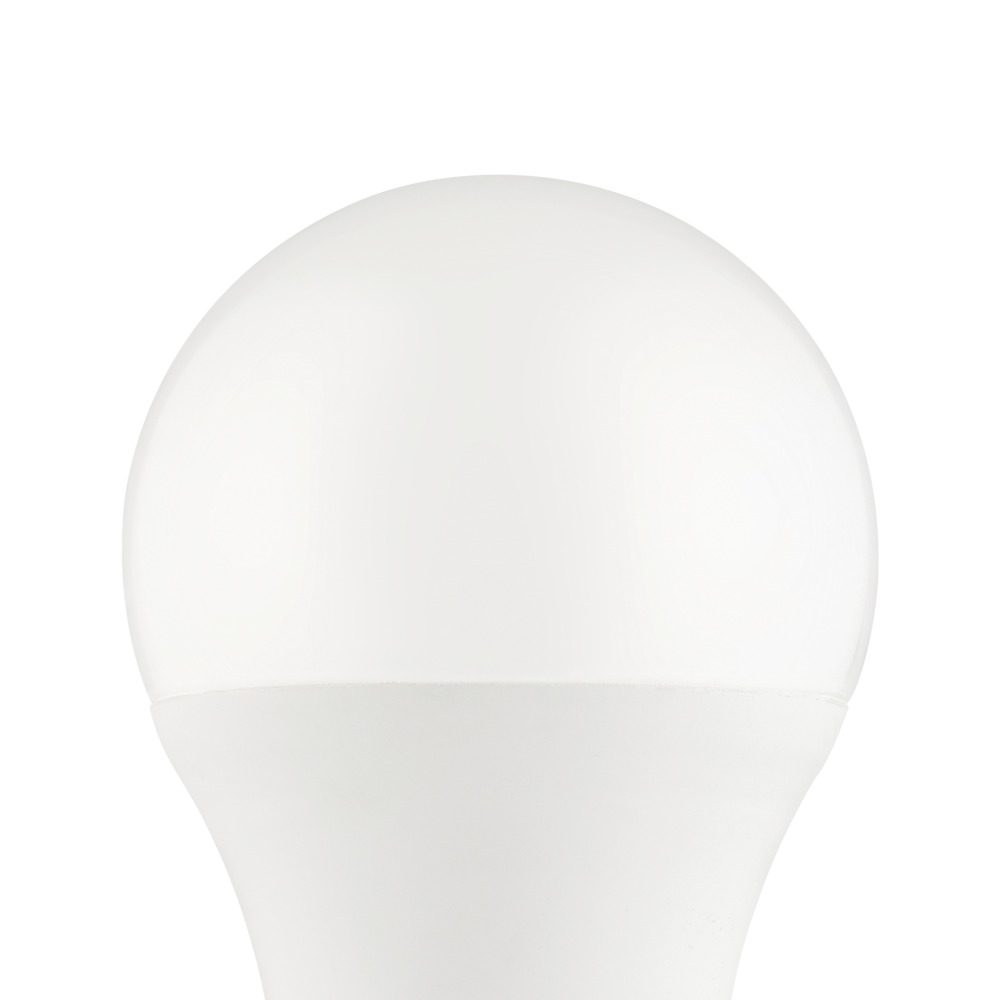 110418_DETAIL_0001 | Eglo Romania Set 2 becuri LED E27 A60 11W + telecomandă 110418